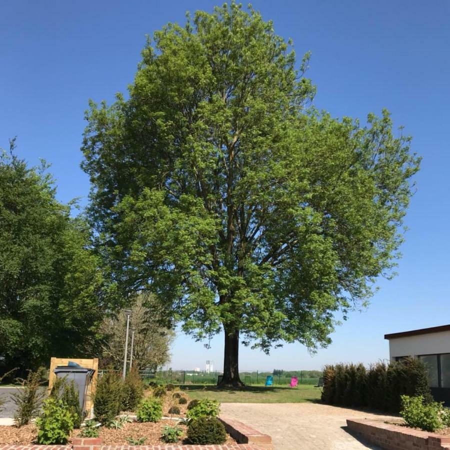 Gites Du Frene Wattignies Exteriör bild